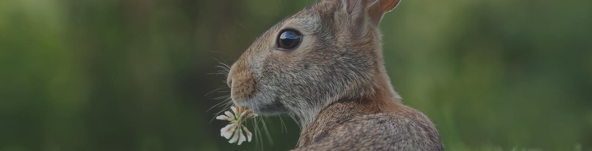 nutrition_service_ptb